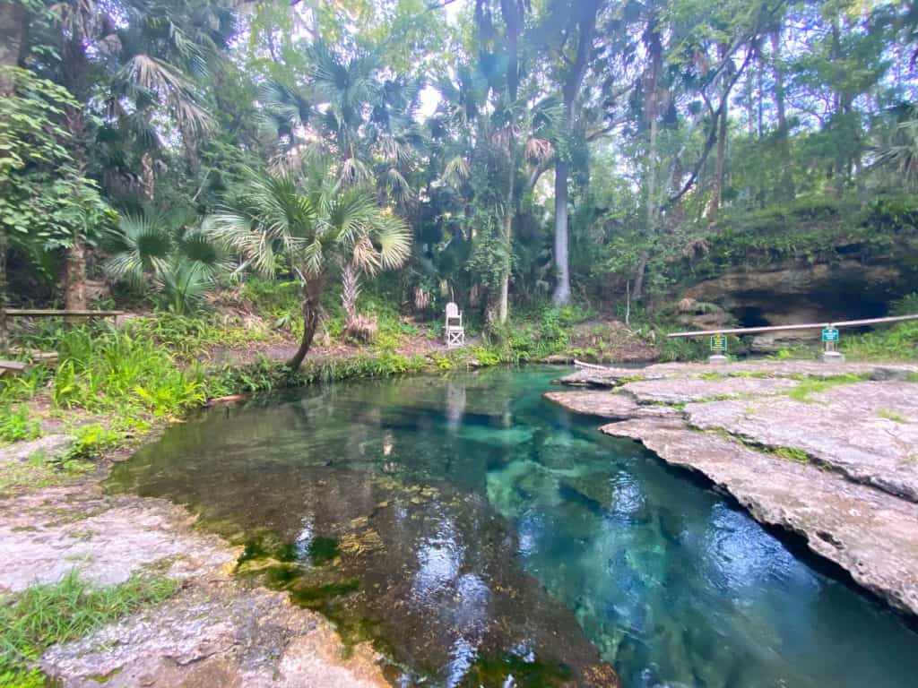 Tips For Kelly Park/Rock Springs The Perfect Florida Oasis Florida