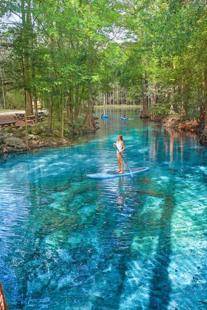 Tips For Ginnie Springs A Perfect Florida Oasis Florida Trippers