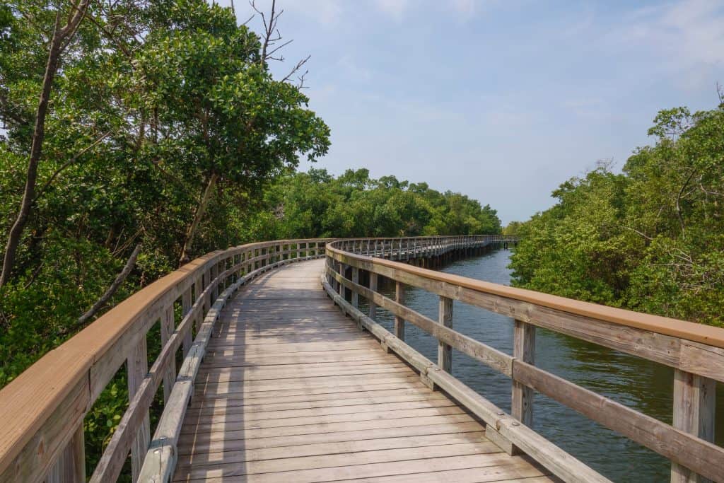 12 Best Hikes In Tampa You Shouldn't Miss Florida Trippers