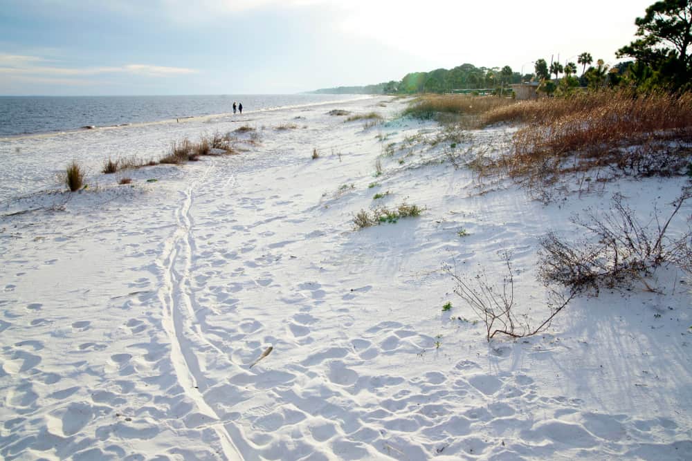 8 Prettiest Beaches Near Tallahassee Florida Trippers