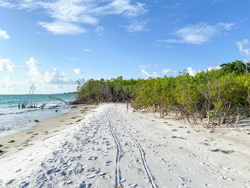 Tips For Visiting Beer Can Island (Longboat Key) Florida Trippers