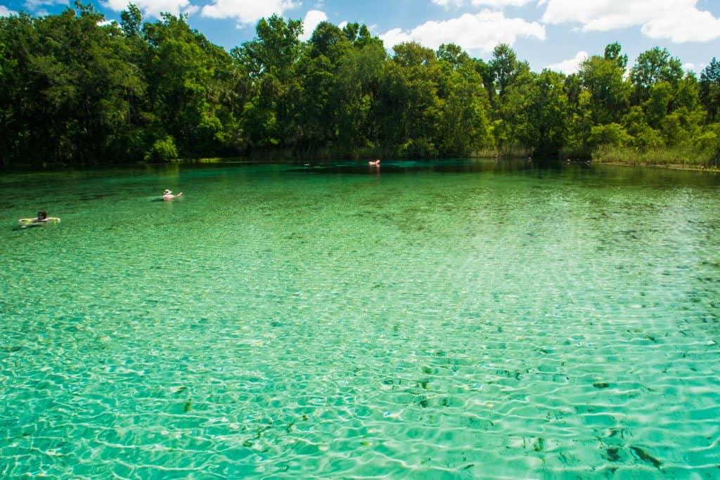 10 Prettiest Natural Springs Near Jacksonville Florida Trippers