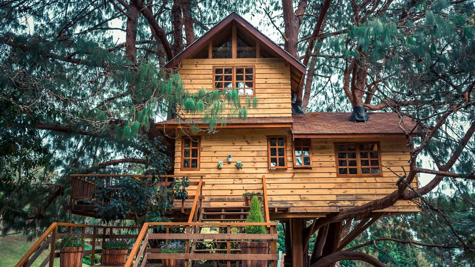 15 Best Treehouses In Florida for The Perfect Retreat Florida Trippers