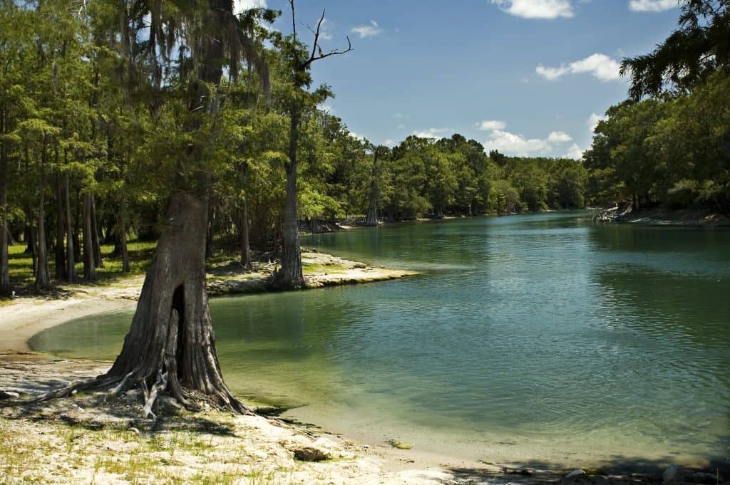 12 Florida Rivers You Must See Florida Trippers